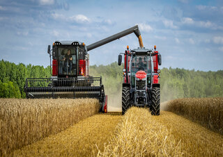 Зърнокомбайн Massey Ferguson Activa 7343