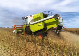 Зърнокомбайн Claas Avero 240