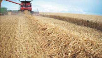 Зърнокомбайн Case IH Axial Flow 9120