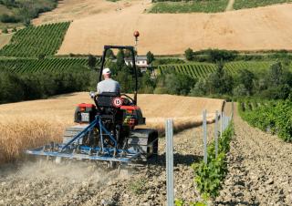 Зърнокомбайн DEUTZ-FAHR C 7206 TS Topline Extra Power