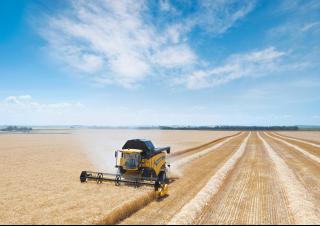 Зърнокомбайн New Holland CX 6090 Elevation
