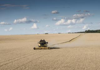 Зърнокомбайн New Holland CX6.80