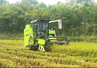 Зърнокомбайн Zoomlion FH100C