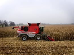 Зърнокомбайн Massey Ferguson Fortia 9895