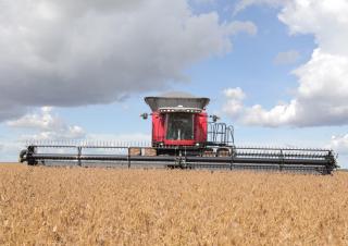 Зърнокомбайн Massey Ferguson MF 9695