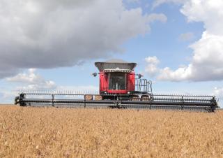 Зърнокомбайн Massey Ferguson MF 9795