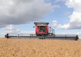 Зърнокомбайн Massey Ferguson MF 9895