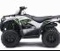 Kawasaki BRUTE FORCE 300 