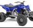 Yamaha RAPTOR YZF450R