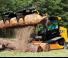 Челни товарачи JCB 300T