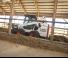 Челни товарачи Bobcat S590
