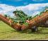 Цинкова дискова брана Amazone Certos 7001-2TX