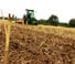 Цинкова дискова брана Agrisem Disc-O-Mulch Gold 5.00 
