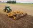 Цинкова дискова брана Agrisem Disc-O-Mulch Gold 7.50