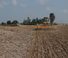 Цинкова дискова брана Agrisem Maximulch 6.00 Serie 3