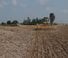 Цинкова дискова брана Agrisem Maximulch 6.00 Serie 3