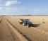 Големи квадратни преси + преси с висока плътност New Holland BB 1290 R