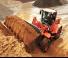 Колесни товарачи Doosan DL 250