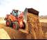 Колесни товарачи Doosan DL250-5