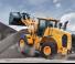 Колесни товарачи Hyundai HL955