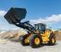 Колесни товарачи Hyundai HL975