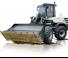 Колесни товарачи Schaeff TL 100