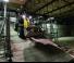 Електрически колесни товарачи Wacker Neuson WL20 e