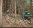 Горска техника Колесни харвестъри Neuson Forest 103HVT