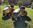 Cub Cadet 2166
