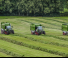 Къси ремаркета за силаж Fendt Tigo 60 MR 