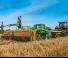 Amazone Cenius 4003-2TX Special