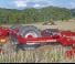Horsch Terrano 3,5 FX