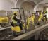 Wacker Neuson 803