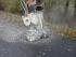Terex WS 30 LD