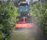Мулчери Maschio Corazza 155 S