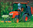 Превозни средства Общински трактори Kubota ST341-C