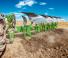 Плугове Amazone Cayron 200 V