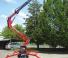 Basket Spider 18