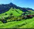 Ротационни гребла Krone Swadro TC 640