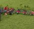 Ротационни сенообръщачки Massey Ferguson TD1028X TRC