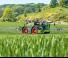 Самоходни полеви пръскачки Fendt Rogator 665 