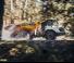Съчленени самосвали Liebherr TA 230 Litronic