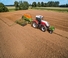 Сеялки Amazone Cirrus 6003-2CC-RoTeC