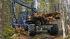 Горска техника Спедитори Rottne F 13 C