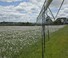 Напоителна технология Стрели за пръскачки Bauer Irrigation Centerstar 133EL