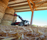 Телескопични манипулатори на материали Manitou MLT 630-115 V Premium