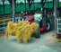 Телескопични манипулатори на материали Manitou MLT 737-130 PS D Classic