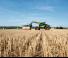 Телескопични манипулатори на материали Claas Scorpion 635 
