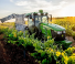 Трактори 4WD (задвиждане на четирите колела) John Deere 5105EN
