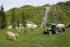 Трактори 4WD (задвиждане на четирите колела) DEUTZ-FAHR Agroplus F 320 GS DT